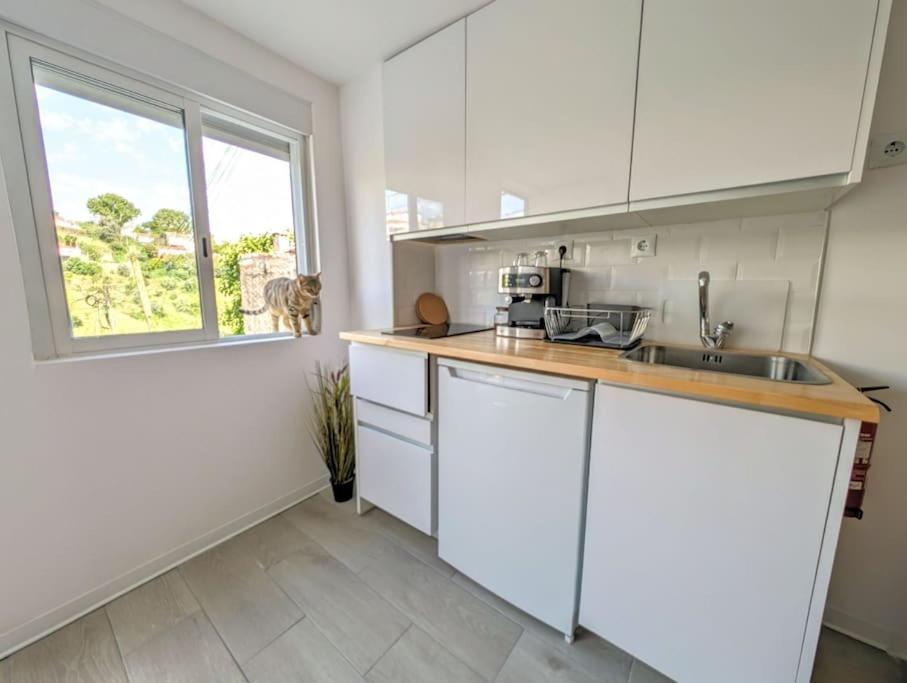 Estudio Vila Isabel - B Coimbra Eksteriør bilde